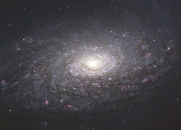M63渦巻き銀河