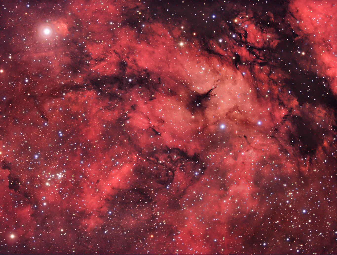 APOD: 2004 July 28 - A Cygnus Star Field