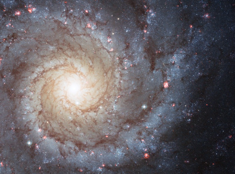うお座の銀河(M71)