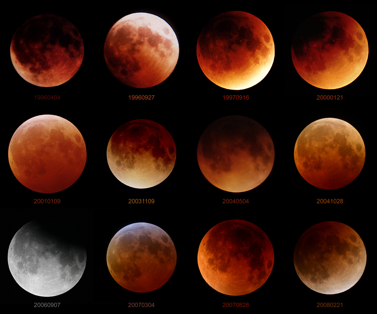 APOD: 2008 February 29 - Twelve Lunar Eclipses
