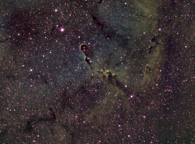 ケフェウス座の象の鼻星雲/IC1396