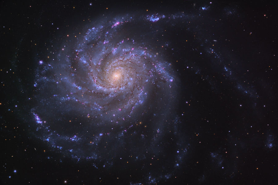 Whirlpool Galaxy - Image Courtesy of Adam Block, Mt. Lemmon SkyCenter, U Arizona