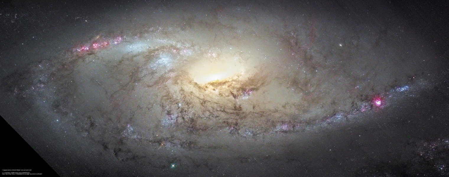 Foto Galaksi M106 Jarak Dekat