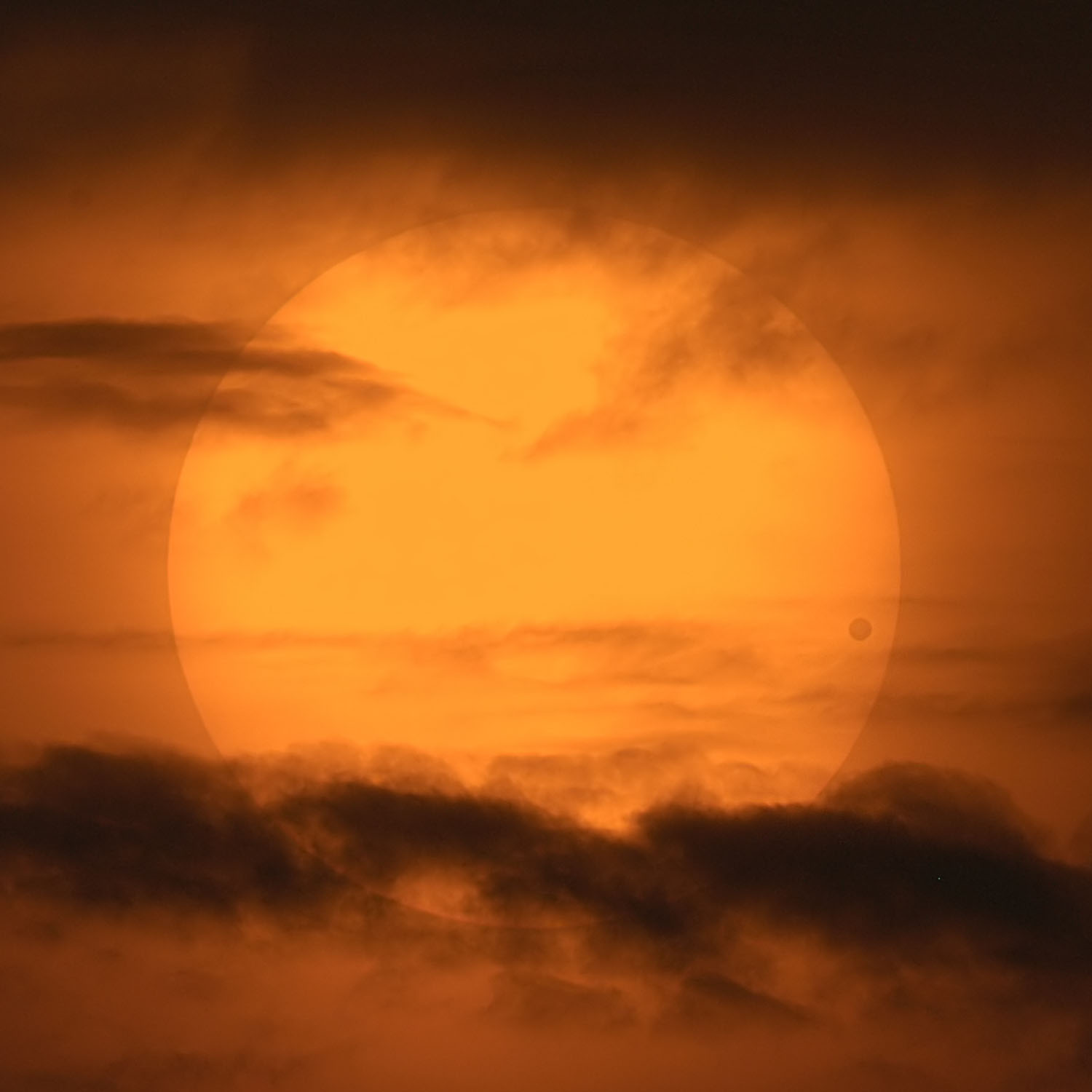 http://apod.nasa.gov/apod/image/1206/venustransit_cortner_1500.jpg