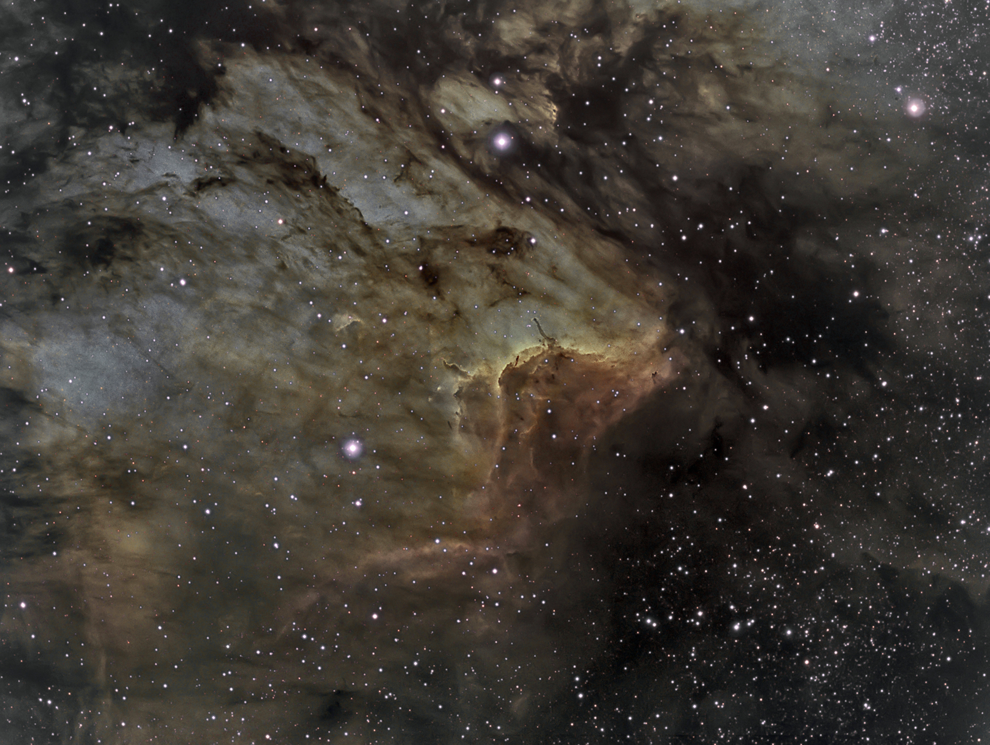 NASA pic of the Pelican Nebula