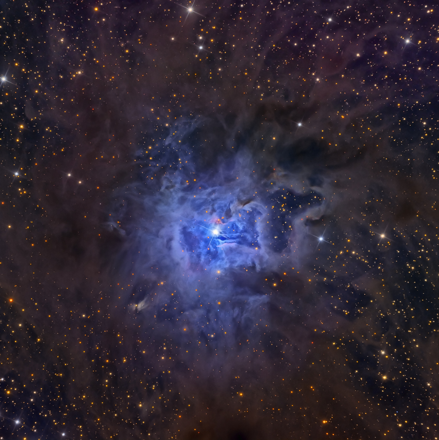 Image of Nebula NGC 7023: The Iris Nebula