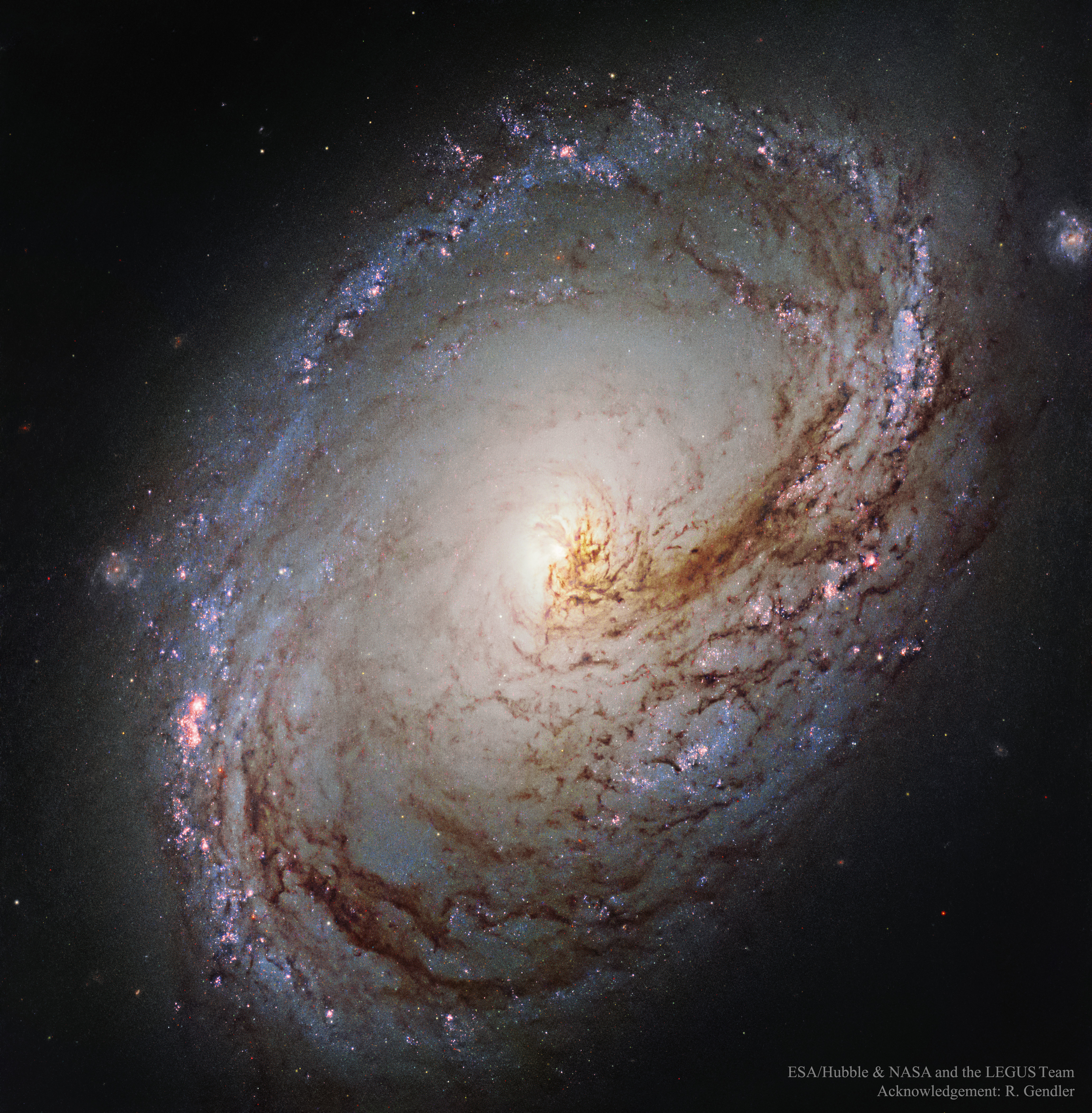 M96_Hubble_4134.jpg