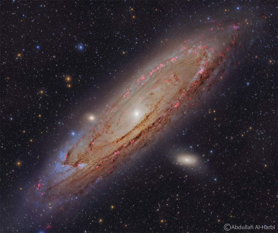 The Andromeda Galaxy is shown in great detail. Red nebulas,
blue stars, and dark dust are all seen in a swirl around
the galaxy's bright center.
Please see the explanation for more detailed information.