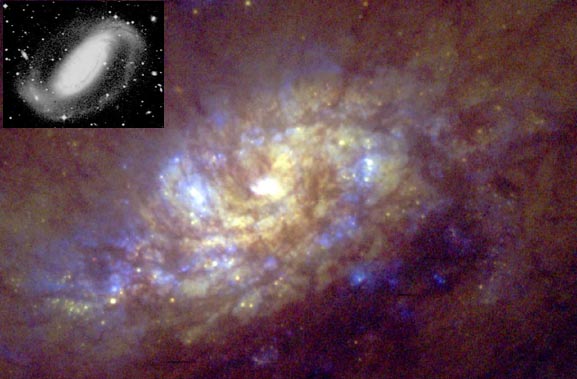 はと座の渦巻き銀河NGC1808