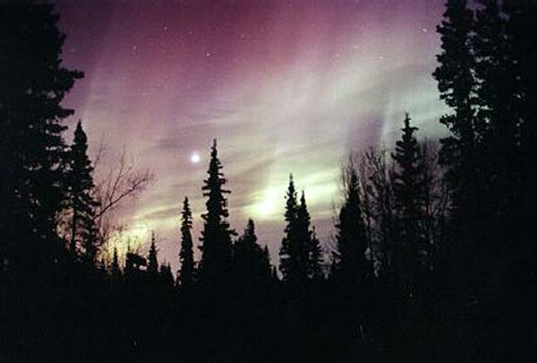 Alaska Night Sky