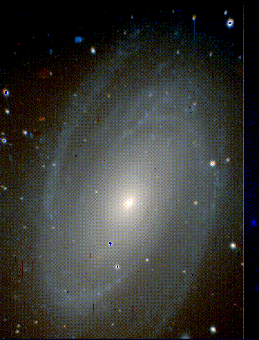 M81 in True Color