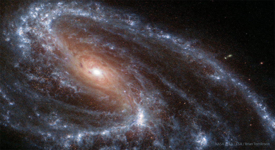 Spiral galaxy M66 is shown in infrared light as seen by the
orbiting James Webb Space Telescope. A reddish-brown center is
seen in the galaxy with a blue-colored spiral arms surrounding it.
A close inspection will reveal that these spiral arms are not
symmetrical.
Please see the explanation for more detailed information.