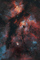The Gamma Cygni Nebula