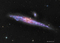  The Whale Galaxy