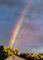 Supernumerary Rainbows over New Jersey