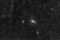 Galaxy Wars: M81 and M82