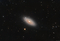 A mere 46 million light-years distant, spiral galaxy NGC 2841