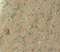 What is creating these unusual spots?