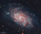 The small, northern constellation