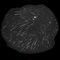 Thumbnail image. Click to load APOD for this date