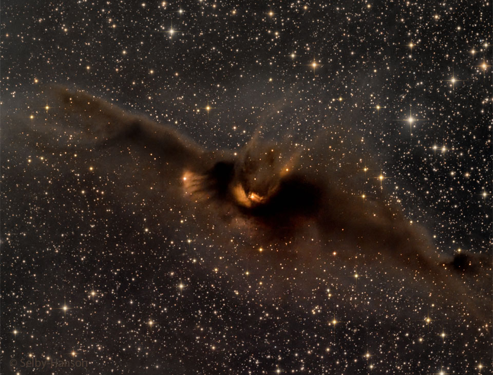 A starfield is shown with a large brown dust nebula
in the center. The nebula appears, to some, to be shaped
like a bat. One of the stars in the dust nebula even appears
to be the eye of the bat. 
Please see the explanation for more detailed information.