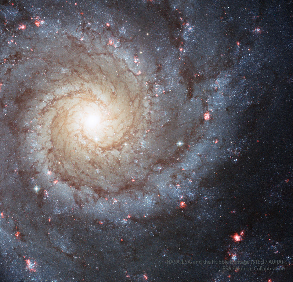 A large spiral galaxy occupies the frame, with 
a bright white center slightly toward the upper left,
and blue hued spiral arms laced with dark dust 
surrounding the center.
Please see the explanation for more detailed information.