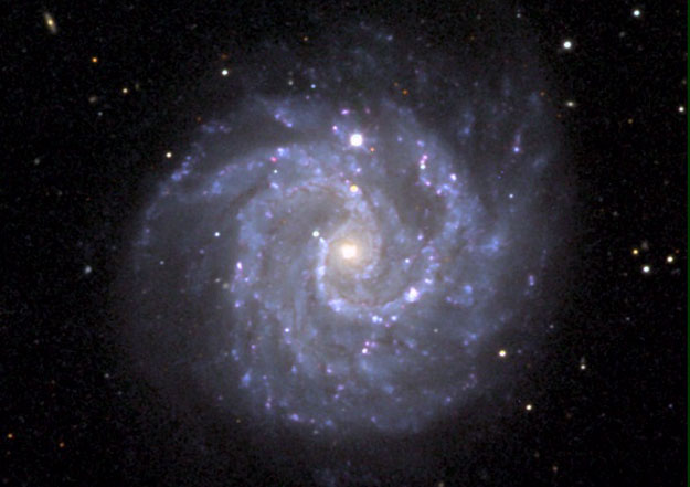 APOD: 2000 September 20 - Gangly Spiral Galaxy NGC 3184