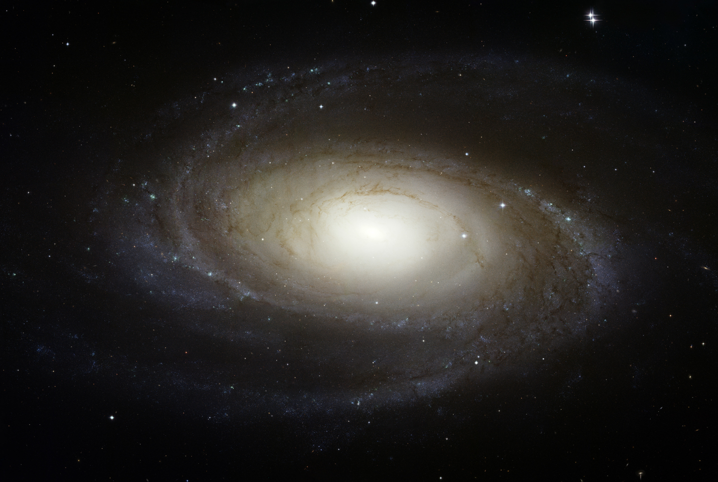 APOD: 2007 May 29 - Bright Spiral Galaxy M81 from Hubble