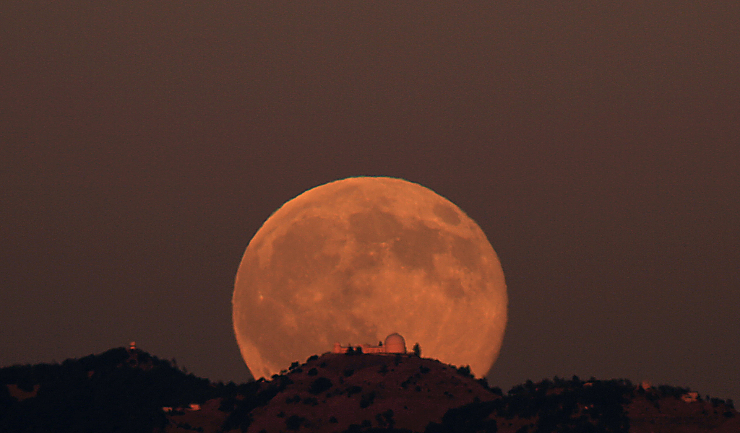 Находящаяся низко над горизонтом луна кажется сильно. Луна. Восход Луны. Фото Луны. Огромная Луна.
