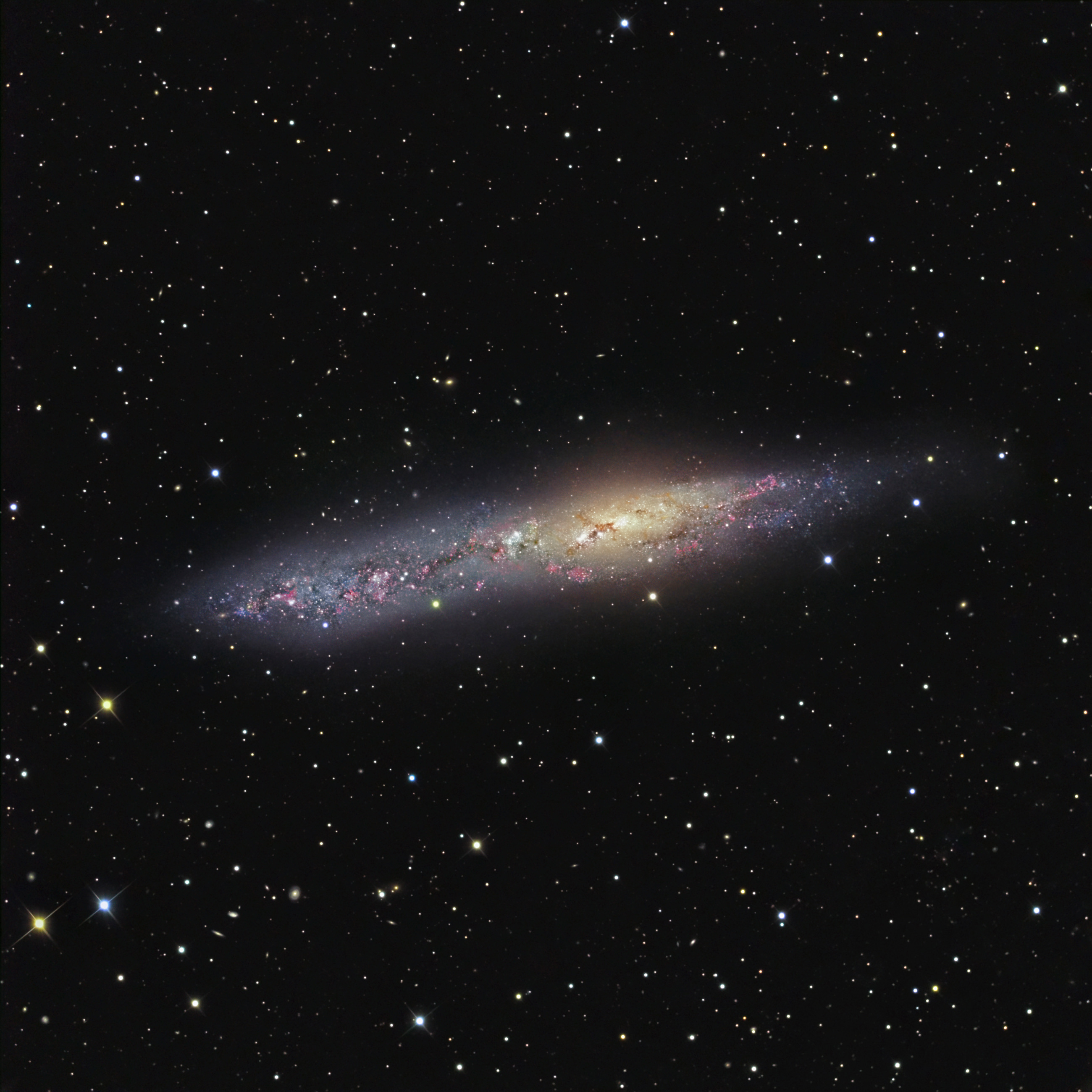 ngc-55-uma-gal-xia-irregular-sob-a-lente-de-don-goldman-o-universo