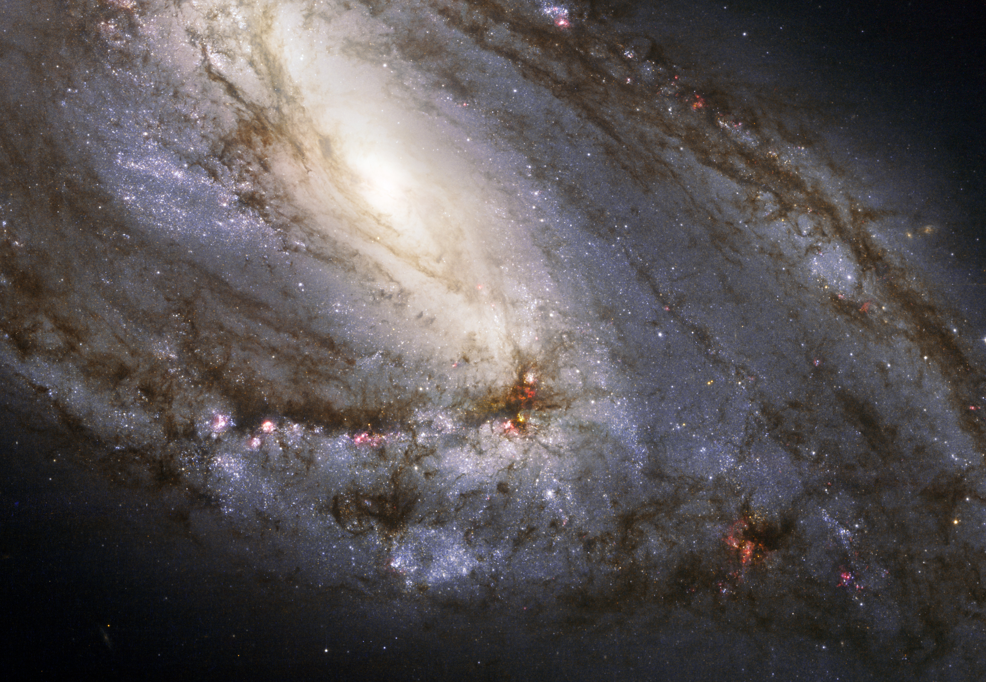 APOD: 2010 April 13 - Unusual Spiral Galaxy M66 from Hubble