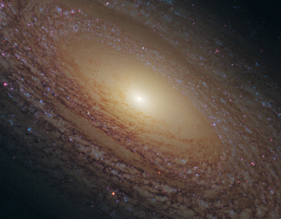 ngc2683图片