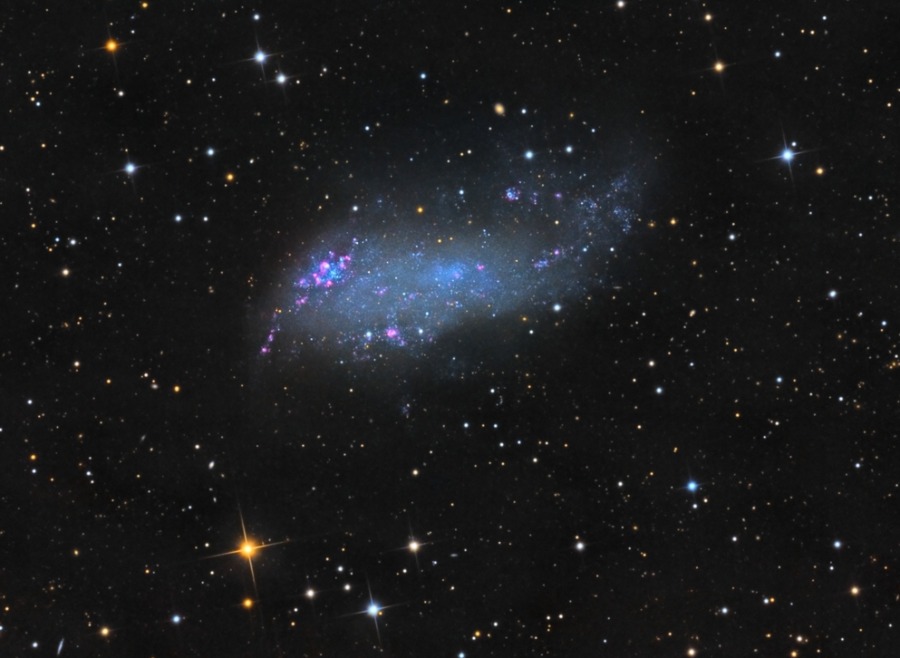 IC 2574 arba Kodingtono (Coddington) ūkas – nykštukinė galaktika už keturių megaparsekų. Nors ir maža bei netaisyklinga, ji vis tiek formuoja žvaigždes. © Stephen Leshin