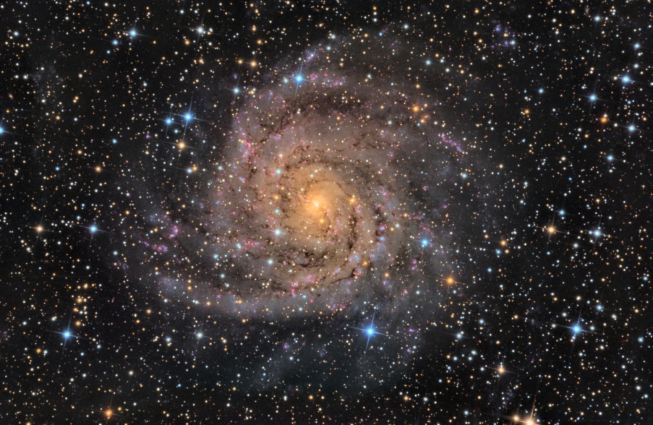La galaxia escondida IC 342