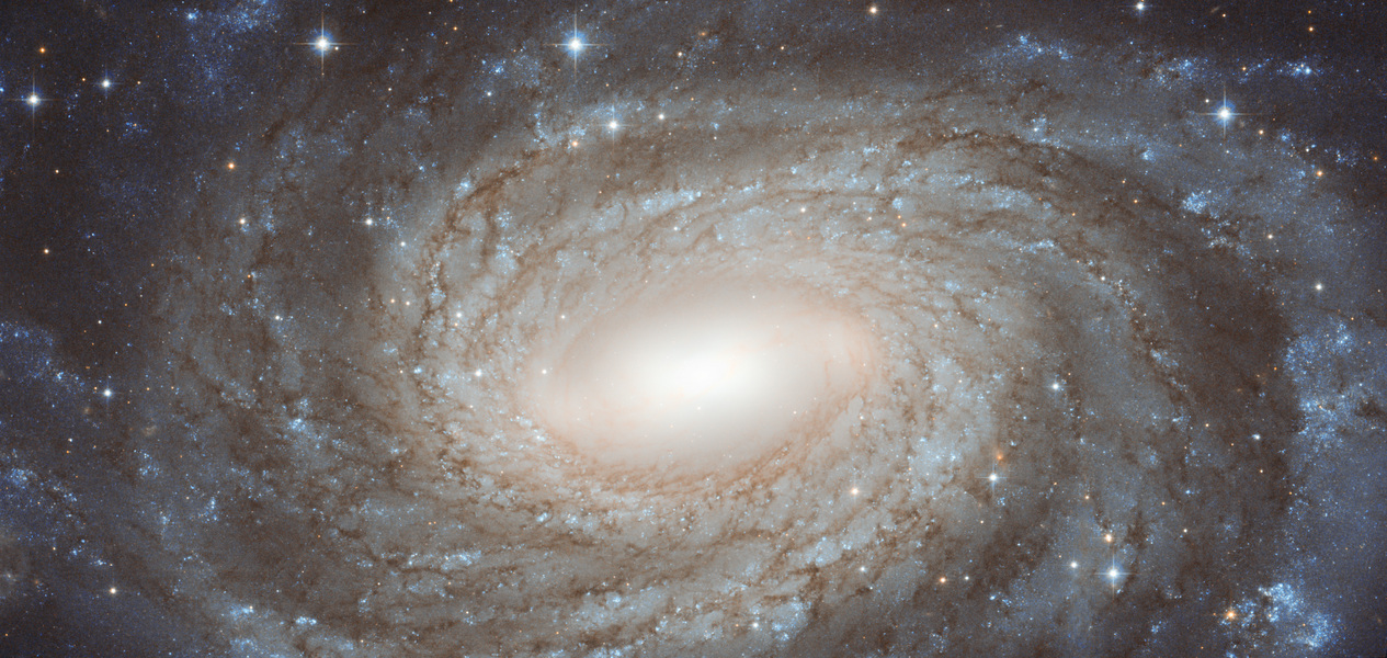 NGC 6384: espiral más allá de las estrellas