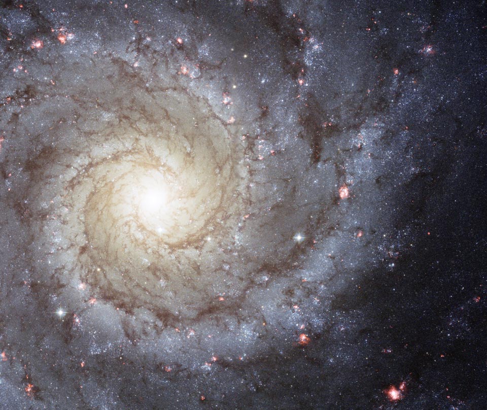 M74: La espiral perfecta