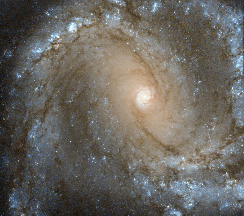 在螺旋星系M61的中心