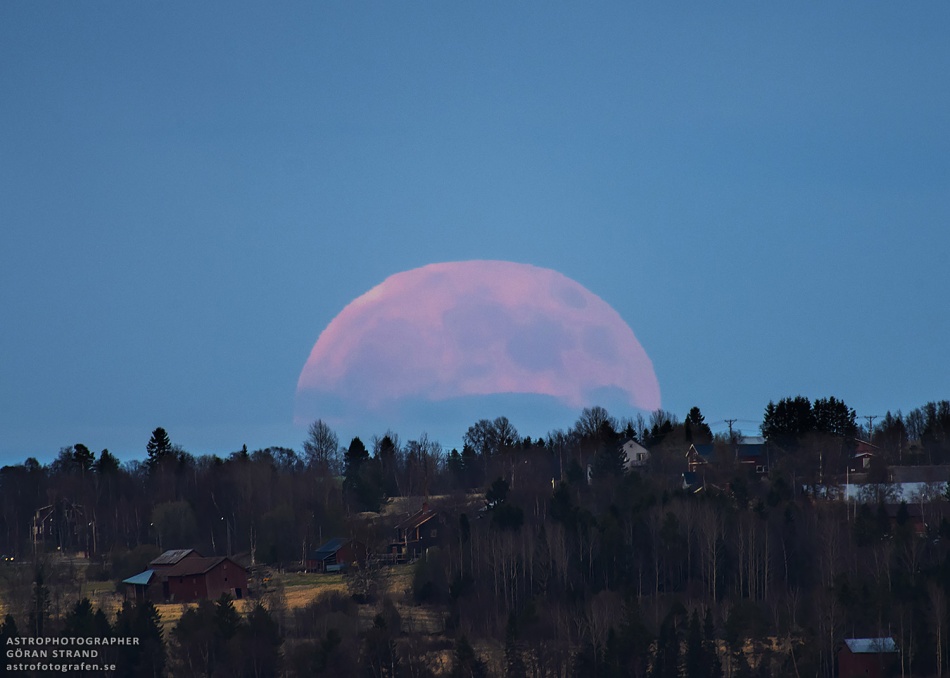 Luna de fresa