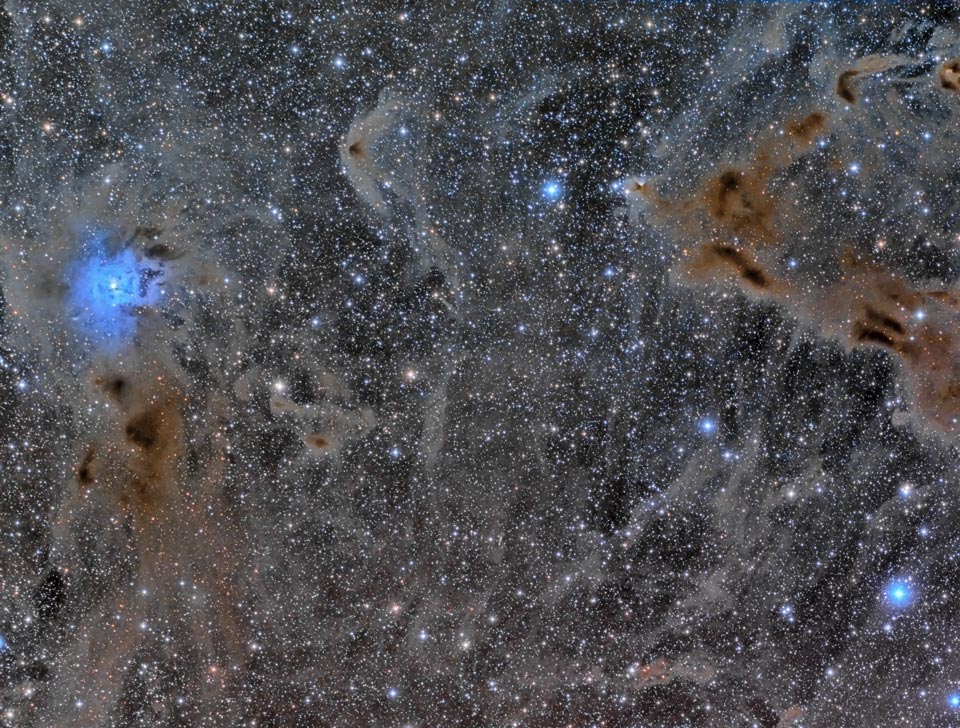 La nebulosa Iris en un campo de polvo