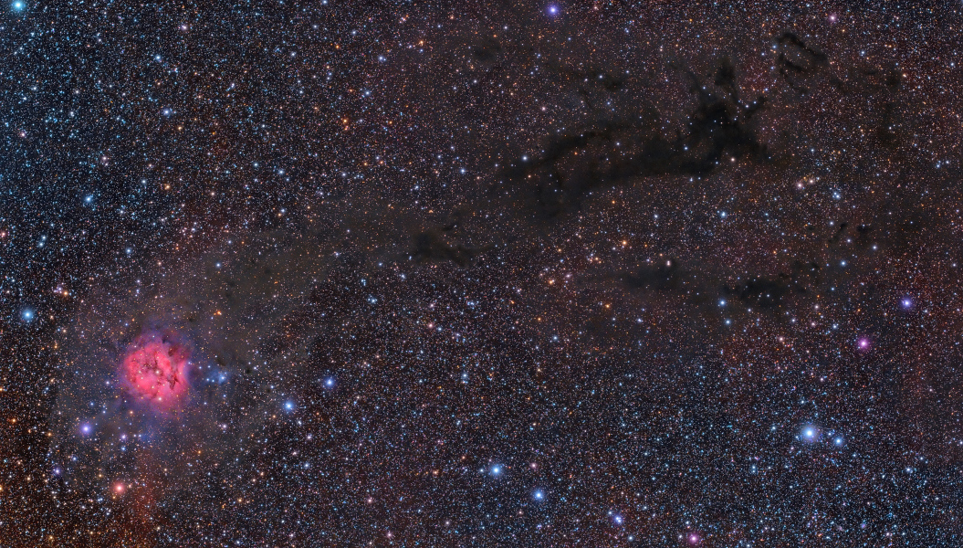 Campo amplio de la nebulosa del Capullo