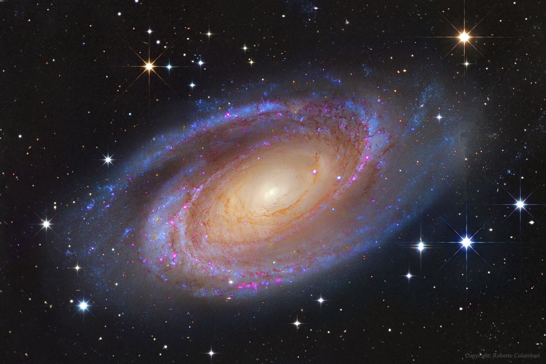 La brillante galaxia espiral M81
