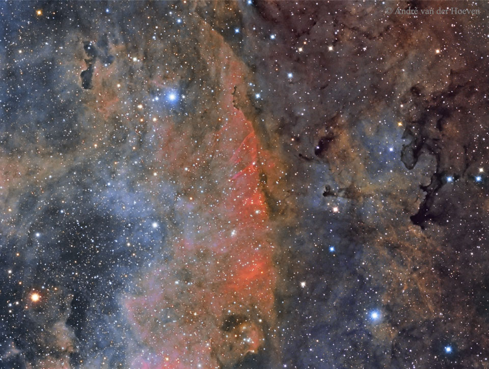 Nubes coloridas de estrellas en Cygnus