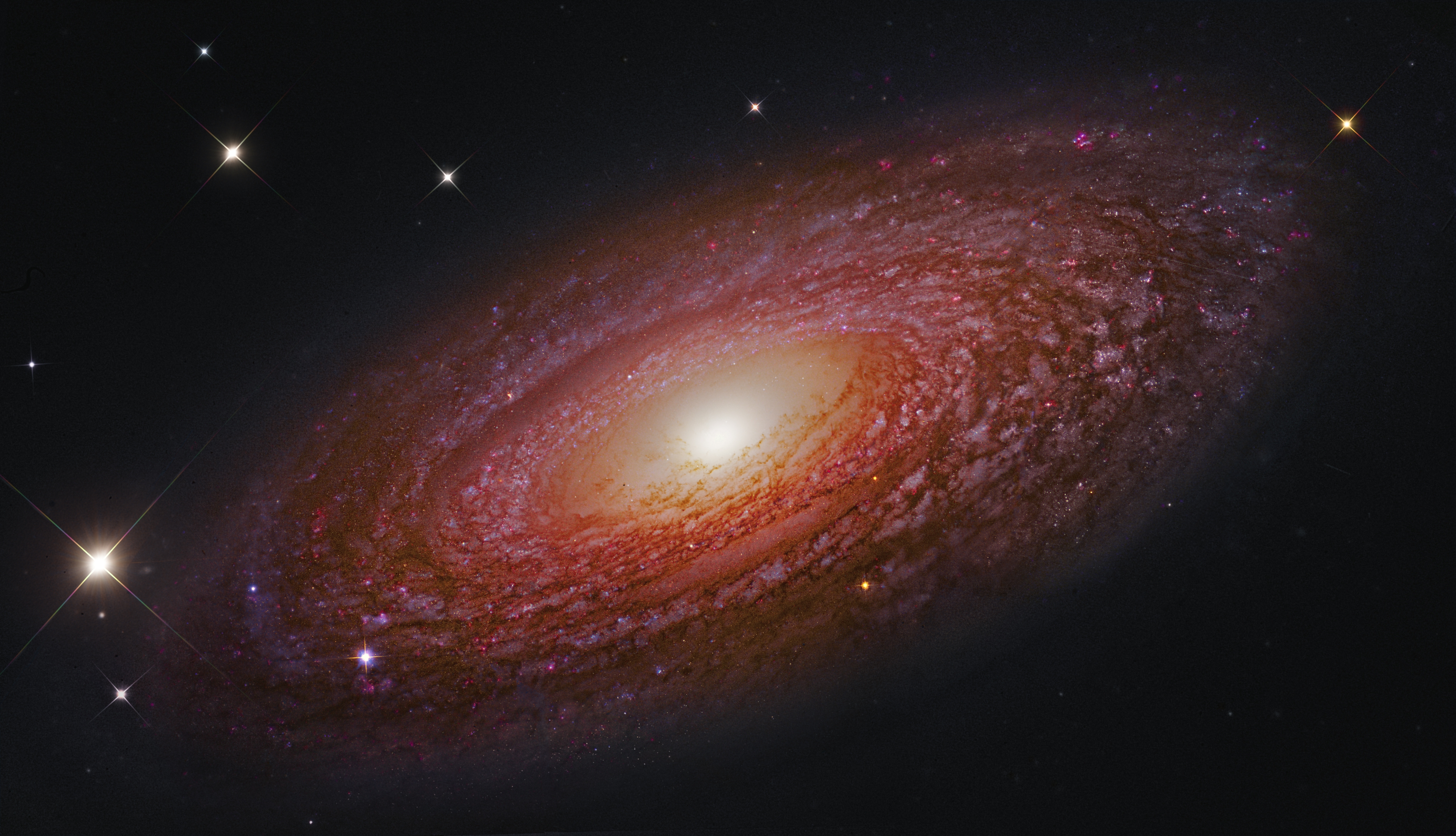 کهکشان NGC 2841