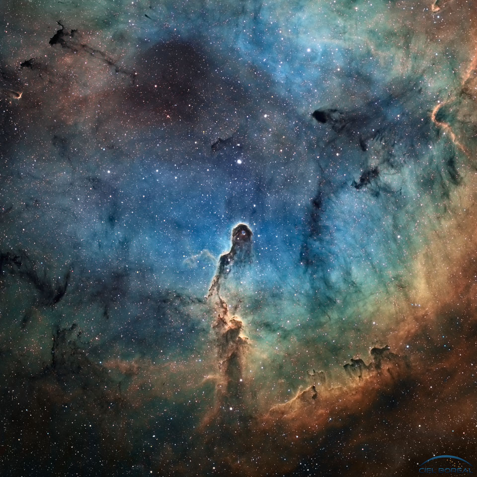 La Trompa de Elefante de IC 1396