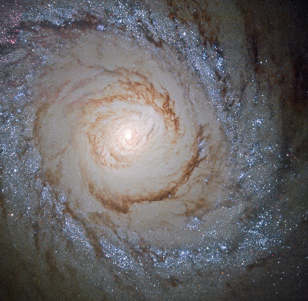 Messier 63: la galaxia Girasol |