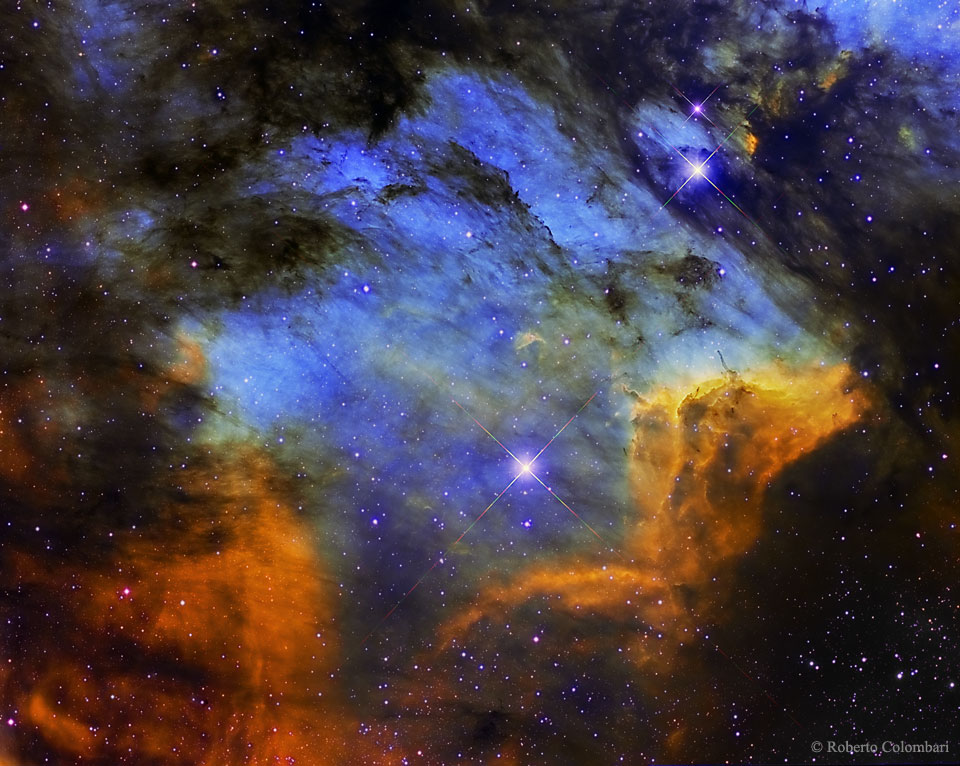 鹈鹕星云的气体，尘埃和恒星