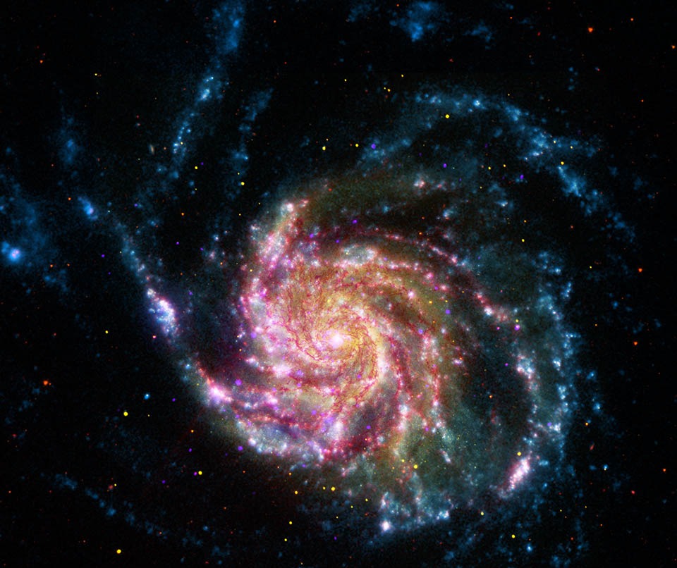 21世纪M101