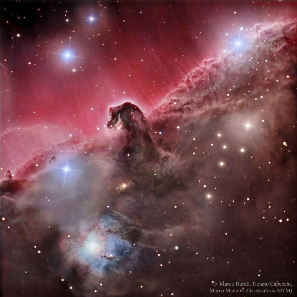 La magnífica Nebulosa Cabeza de Caballo