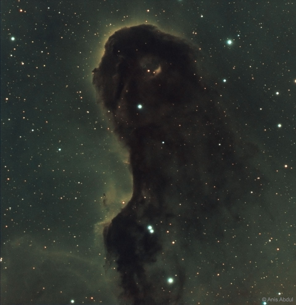 El monstruo del polvo en IC 1396