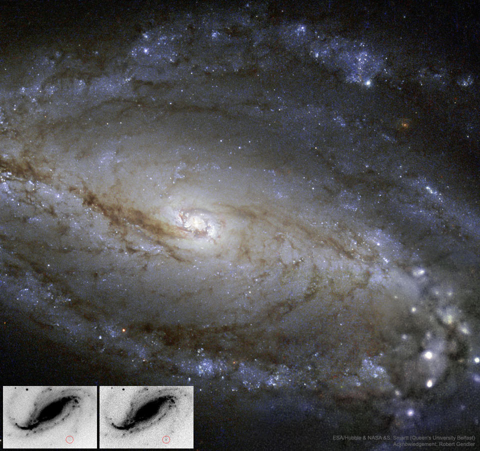 NGC 613 en polvo, estrellas y una supernova